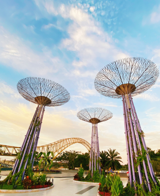 Garden by the bay